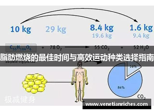 脂肪燃烧的最佳时间与高效运动种类选择指南